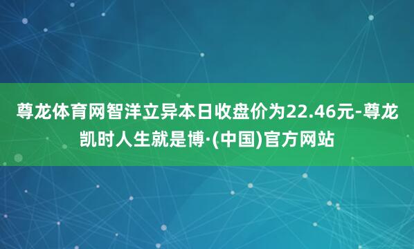 尊龙体育网智洋立异本日收盘价为22.46元-尊龙凯时人生就是博·(中国)官方网站