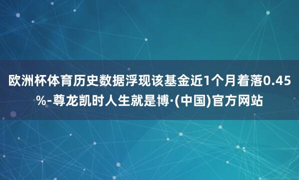 欧洲杯体育历史数据浮现该基金近1个月着落0.45%-尊龙凯时人生就是博·(中国)官方网站