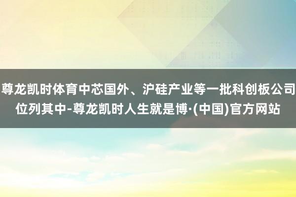 尊龙凯时体育中芯国外、沪硅产业等一批科创板公司位列其中-尊龙凯时人生就是博·(中国)官方网站
