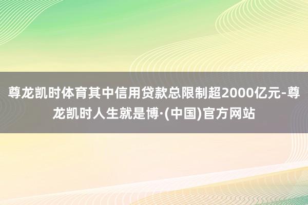 尊龙凯时体育其中信用贷款总限制超2000亿元-尊龙凯时人生就是博·(中国)官方网站